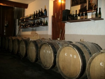 dagje Champagnestreek