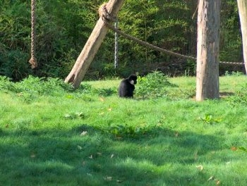 Planckendael