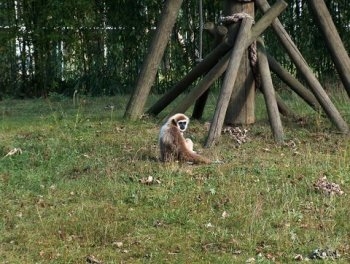 Planckendael