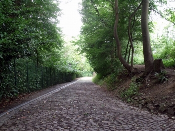 Daguitstap Brakel & Maarkedal
